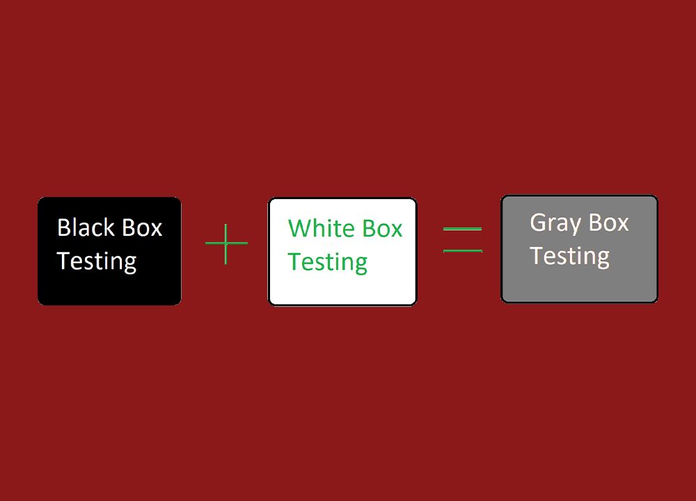 Gray Box Testing — Test Mode