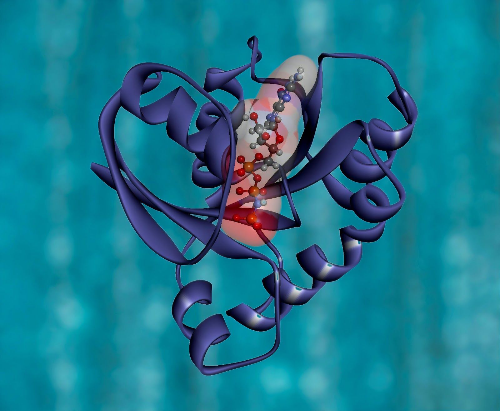 LArginine Benefits, Uses And Side Effects